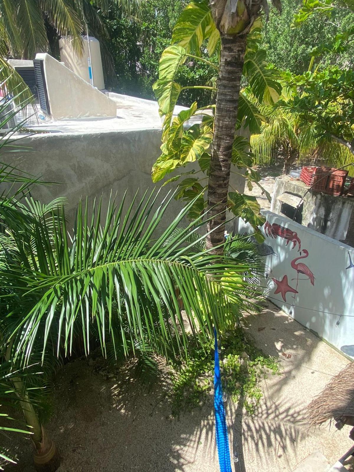Hotel Pelecanus Suites Holbox ภายนอก รูปภาพ