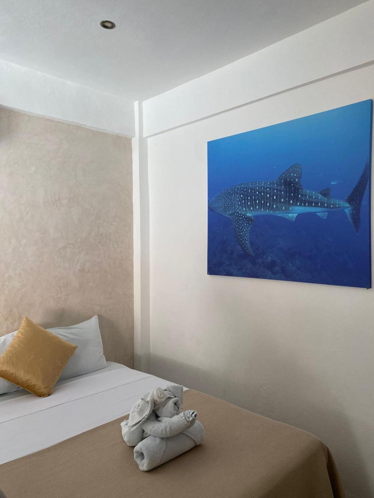 Hotel Pelecanus Suites Holbox ภายนอก รูปภาพ
