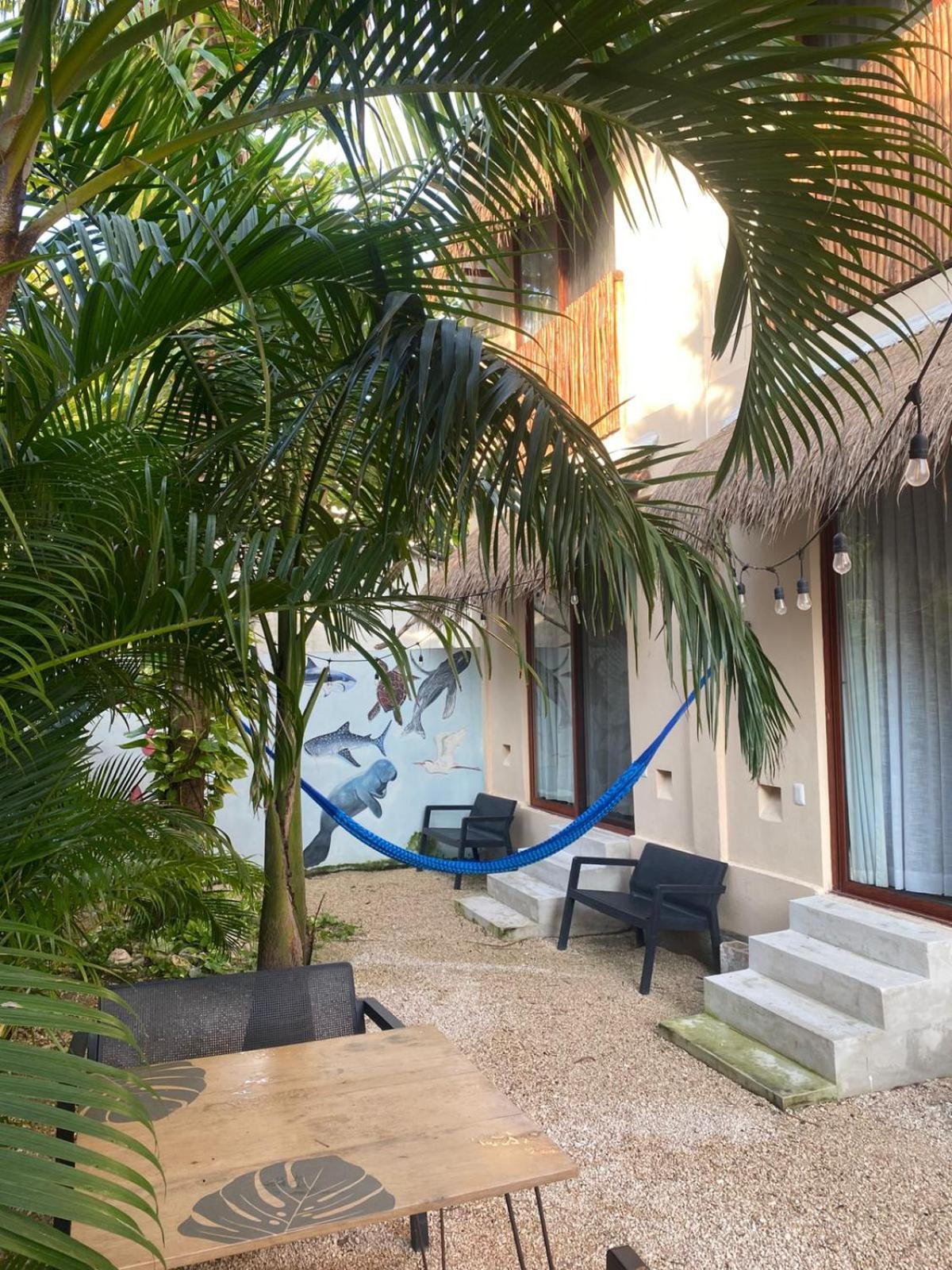 Hotel Pelecanus Suites Holbox ภายนอก รูปภาพ