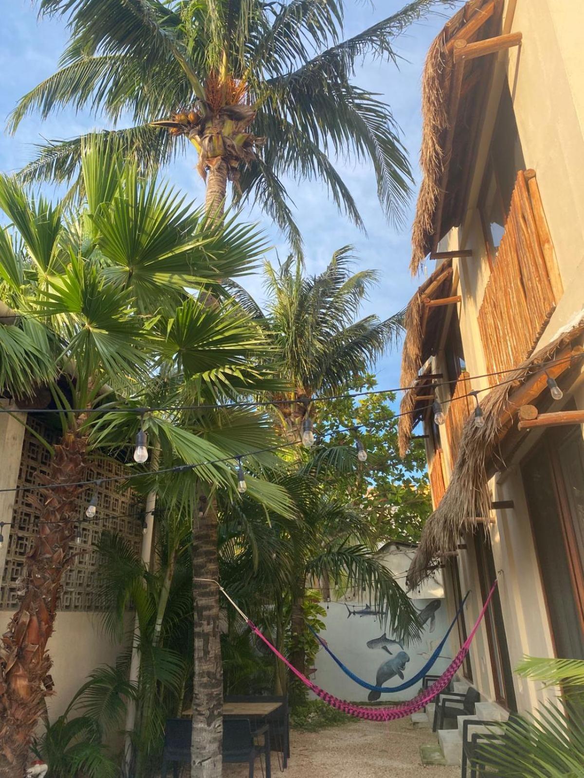 Hotel Pelecanus Suites Holbox ภายนอก รูปภาพ